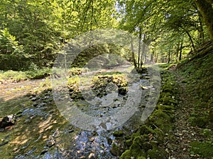 Small mountain river GerovÃÂica, Zamost - Region of Gorski kotar, Croatia / Mala gorska rijeka GerovÃÂica photo